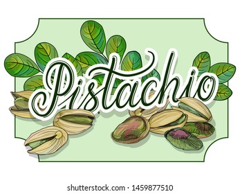 Vector pistachio nut for design with lettering.