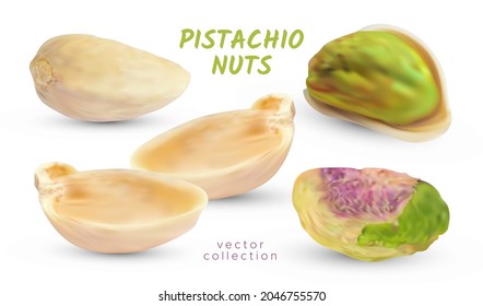 Vector Pistachio nuts. Realistic raw kernel. Pistachios salted shell isolated on white background. Snack fruit illustration.