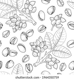 Vector pistachios drawn sketch. Vector seamless pattern. Vintage style. Botanical drawing. Nut collection. 