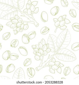 Vector pistachios drawn sketch. Vector seamless pattern. Vintage style. Botanical drawing. Nut collection. 