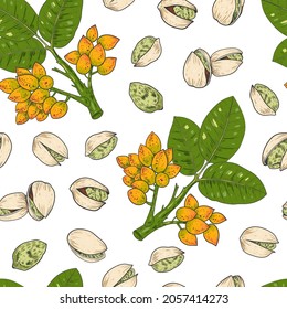 Vector pistachios drawn sketch. Vector seamless pattern. Vintage style. Botanical drawing. Nut collection. 