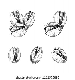 Vector Pistachios Hand Drawn Set, Sketches Collection, Isolated on White Background Nuts Design Elements.