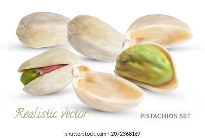 Vector Pistachios nuts with shell. 3d Realistic dry salted nuts background. Pistache kernel isolated on white. Snack plant illustration.