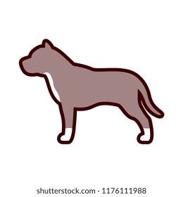 Vector Pit Bull Dog Icon Isolated On White Background