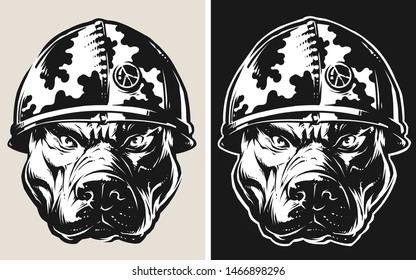 Vector Pit Bull Wearing a Helmet