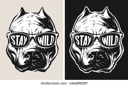 Vector Pit Bull Wearing a Sunglasses