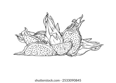 Vetor Pitahaya cacto desenhado à mão esboço ilustração em preto. para livro de coloração. Metades, fatias e arte de linha de composição de fruta de dragão inteiro. Para decoração tropical, livro de colorir.