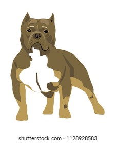 vector pitbull dog