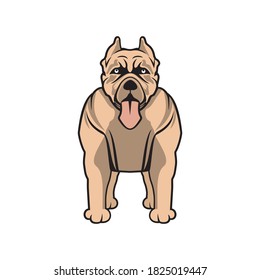 Vector of Pitbull dog cartoon design eps format, suitable for your design needs, logo, illustration, animation, etc.