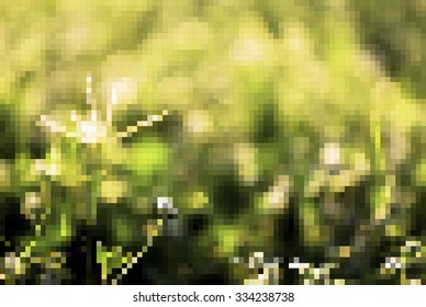 vector pixel ,  abstract background of nature plant in garden