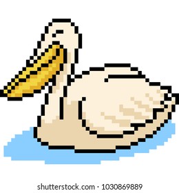 vector pixel art animal pelican isolated cartoon