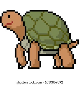 vector pixel art animal turtle isolated cartoon