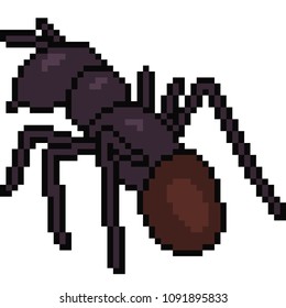 vector pixel art ant isolated cartoon