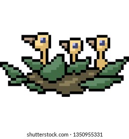 vector pixel art baby bird isolated cartoon