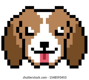 vector pixel art Beagle dog isolated on white background, brown and white dog.