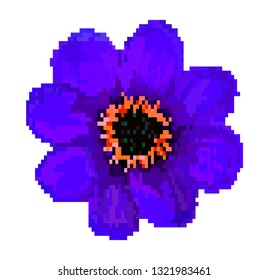 Vector pixel art. Beautiful flower. Field flower isolated. Pixel flowers art cartoon retro game style.