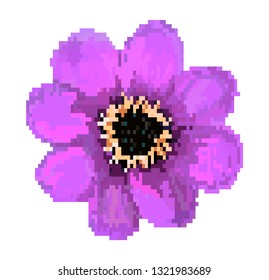 Vector pixel art. Beautiful flower. Field flower isolated. Pixel flowers art cartoon retro game style.