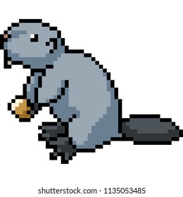 imagem isolada do castor da arte de pixels vetoriais