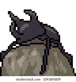 vector pixel art beetle isolated cartoon