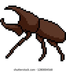 vector pixel art beetle isolated cartoon