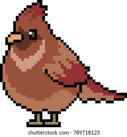 vector pixel art bird fat isolated