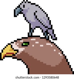 vector pixel art bird friend isolated cartoon