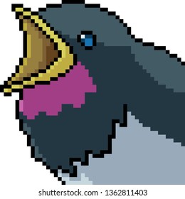 vector pixel art bird head isolated cartoon