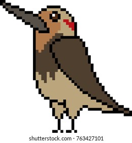 vector pixel art bird isolated