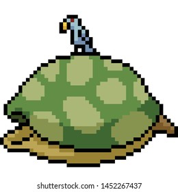 vector pixel art bird turtle isolated cartoon