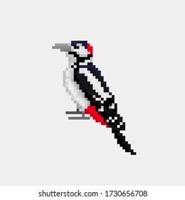 Vector pixel art bird Woodpecker isolated