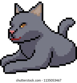 vector pixel art black cat isolated cartoon