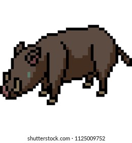 vector pixel art boar isolated cartoon