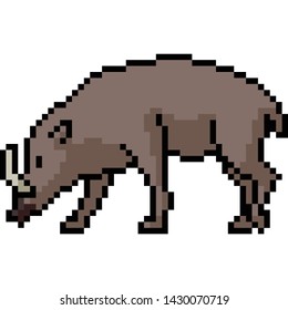 vector pixel art boar isolated cartoon