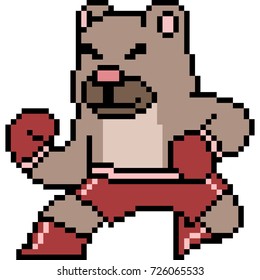 vector pixel art boxing bear isolated