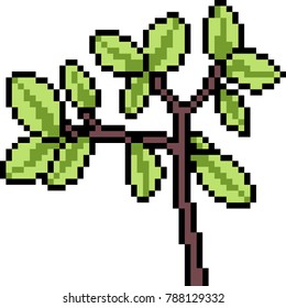 vector pixel art branch isolated