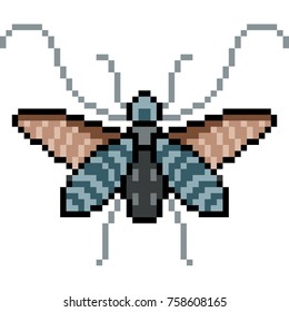 vector pixel art bug solated