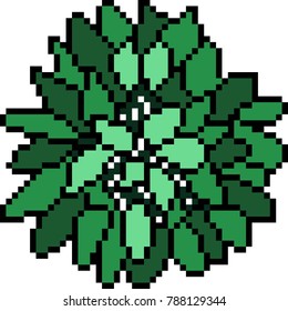 vector pixel art bush leaf isolated