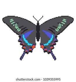 Vector pixel art butterfly isolated.