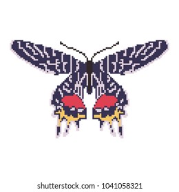 Vector pixel art butterfly isolated.