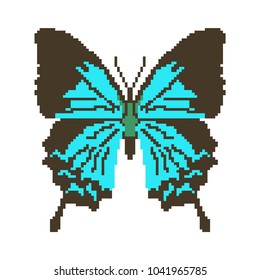 Vector pixel art butterfly isolated.