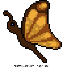 vector pixel art butterfly isolated