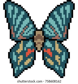 vector pixel art butterfly isolated