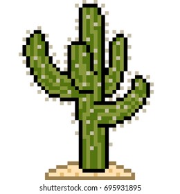 vector pixel art cactus isolated