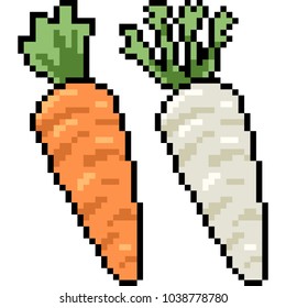 vector pixel art carrot radish isolated cartoon