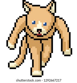 vector pixel art cat monster isolated cartoon