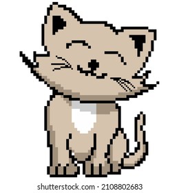 vector pixel art cat sit isolated cartoon