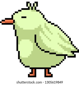 vector pixel art chick isolated cartoon