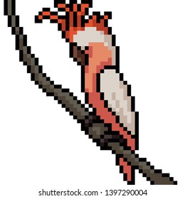 vector pixel art colorful bird isolated cartoon