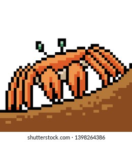 vector pixel art crab isolated cartoon