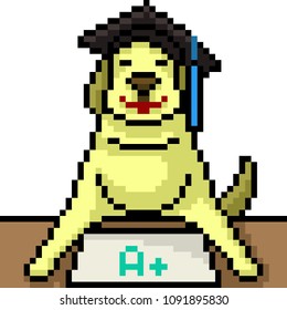 vector pixel art doctor dog isolated cartoon